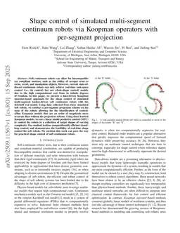 Shape control of simulated multi-segment continuum robots via Koopman operators with per-segment projection