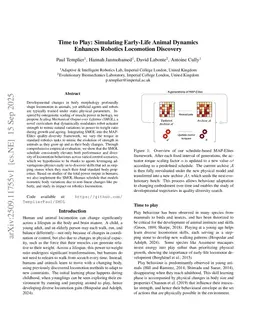 Time to Play: Simulating Early-Life Animal Dynamics Enhances Robotics Locomotion Discovery