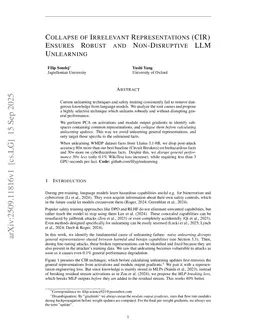 Collapse of Irrelevant Representations (CIR) Ensures Robust and Non-Disruptive LLM Unlearning