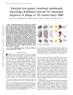 Enriched text-guided variational multimodal knowledge distillation network (VMD) for automated diagnosis of plaque vulnerability in 3D carotid artery MRI