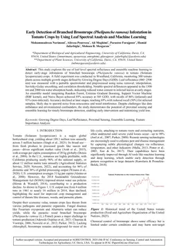 Early Detection of Branched Broomrape (Phelipanche ramosa) Infestation in Tomato Crops Using Leaf Spectral Analysis and Machine Learning