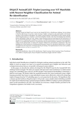 DS@GT AnimalCLEF: Triplet Learning over ViT Manifolds with Nearest Neighbor Classification for Animal Re-identification