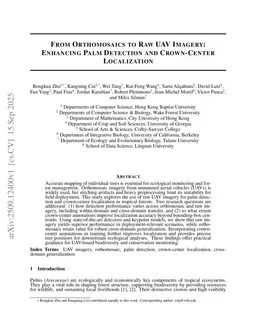From Orthomosaics to Raw UAV Imagery: Enhancing Palm Detection and Crown-Center Localization