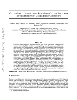 Cott-ADNet: Lightweight Real-Time Cotton Boll and Flower Detection Under Field Conditions