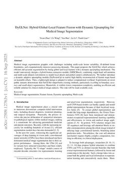 DyGLNet: Hybrid Global-Local Feature Fusion with Dynamic Upsampling for Medical Image Segmentation