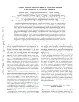 Learning Minimal Representations of Many-Body Physics from Snapshots of a Quantum Simulator