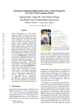 Diving into Mitigating Hallucinations from a Vision Perspective for Large Vision-Language Models