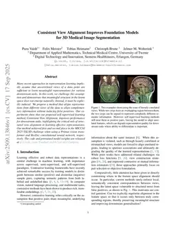 Consistent View Alignment Improves Foundation Models for 3D Medical Image Segmentation