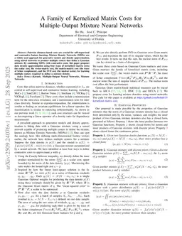 A Family of Kernelized Matrix Costs for Multiple-Output Mixture Neural Networks