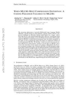 When MLLMs Meet Compression Distortion: A Coding Paradigm Tailored to MLLMs