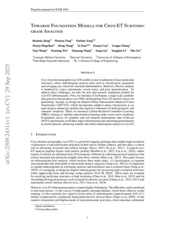 Towards Foundation Models for Cryo-ET Subtomogram Analysis