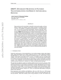 DRIFT: Divergent Response in Filtered Transformations for Robust Adversarial Defense