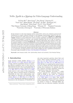 NeMo: Needle in a Montage for Video-Language Understanding