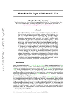 Vision Function Layer in Multimodal LLMs
