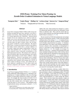 ZOO-Prune: Training-Free Token Pruning via Zeroth-Order Gradient Estimation in Vision-Language Models