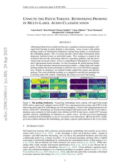 Unmute the Patch Tokens: Rethinking Probing in Multi-Label Audio Classification