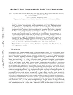 On-the-Fly Data Augmentation for Brain Tumor Segmentation