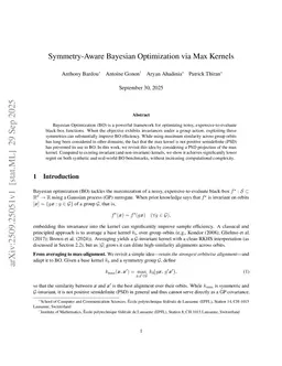 Symmetry-Aware Bayesian Optimization via Max Kernels