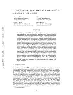 Layer-wise dynamic rank for compressing large language models
