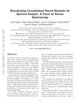 Reevaluating Convolutional Neural Networks for Spectral Analysis: A Focus on Raman Spectroscopy
