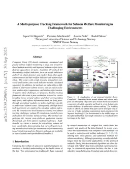 A Multi-purpose Tracking Framework for Salmon Welfare Monitoring in Challenging Environments