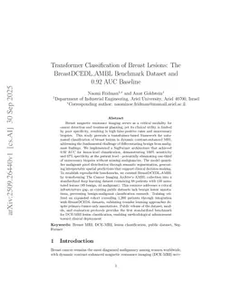 Transformer Classification of Breast Lesions: The BreastDCEDL_AMBL Benchmark Dataset and 0.92 AUC Baseline