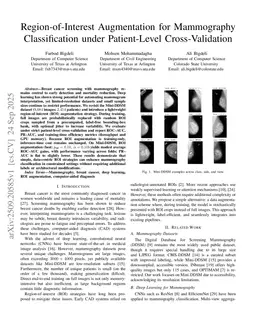 Region-of-Interest Augmentation for Mammography Classification under Patient-Level Cross-Validation