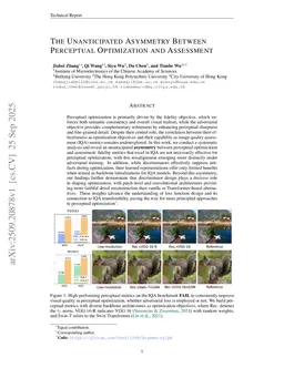 The Unanticipated Asymmetry Between Perceptual Optimization and Assessment