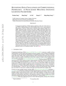 Revisiting Data Challenges of Computational Pathology: A Pack-based Multiple Instance Learning Training Framework