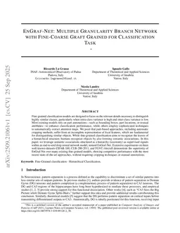 EnGraf-Net: Multiple Granularity Branch Network with Fine-Coarse Graft Grained for Classification Task