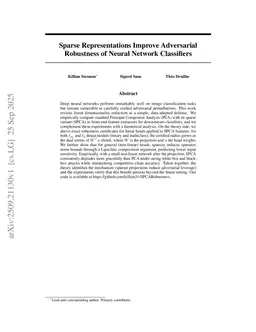 Sparse Representations Improve Adversarial Robustness of Neural Network Classifiers
