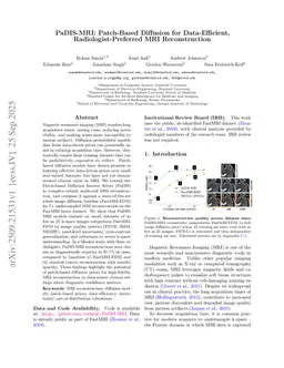 Patch-Based Diffusion for Data-Efficient, Radiologist-Preferred MRI Reconstruction