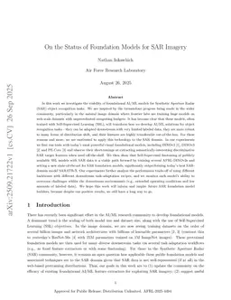 On the Status of Foundation Models for SAR Imagery