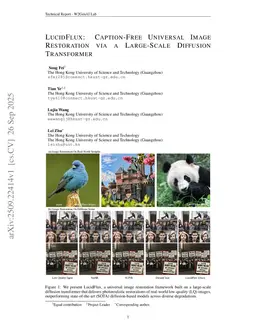 LucidFlux: Caption-Free Universal Image Restoration via a Large-Scale Diffusion Transformer