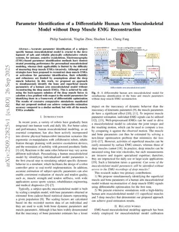 Parameter Identification of a Differentiable Human Arm Musculoskeletal Model without Deep Muscle EMG Reconstruction