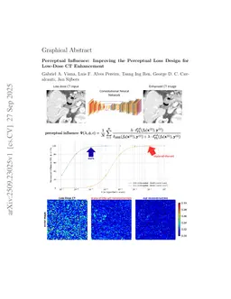Perceptual Influence: Improving the Perceptual Loss Design for Low-Dose CT Enhancement