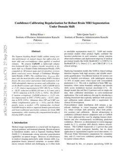 Confidence-Calibrating Regularization for Robust Brain MRI Segmentation Under Domain Shift