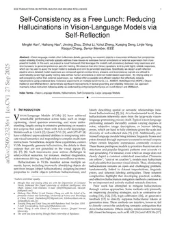 Self-Consistency as a Free Lunch: Reducing Hallucinations in Vision-Language Models via Self-Reflection