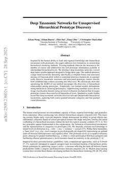 Deep Taxonomic Networks for Unsupervised Hierarchical Prototype Discovery