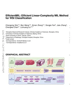 EfficientMIL: Efficient Linear-Complexity MIL Method for WSI Classification