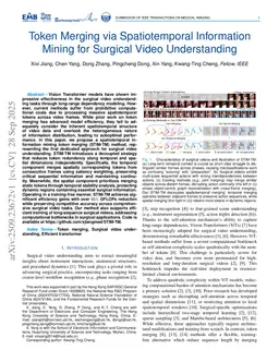 Token Merging via Spatiotemporal Information Mining for Surgical Video Understanding