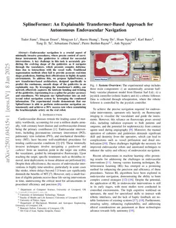 SplineFormer: An Explainable Transformer-Based Approach for Autonomous Endovascular Navigation