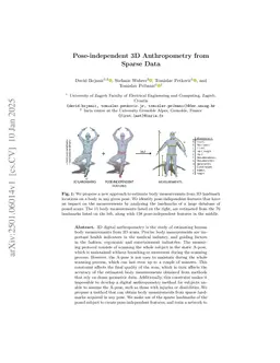 Pose-independent 3D Anthropometry from Sparse Data