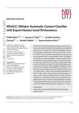 WhACC: Whisker Automatic Contact Classifier with Expert Human-Level Performance