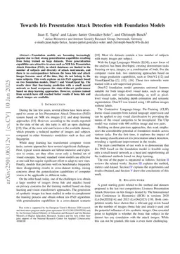 Towards Iris Presentation Attack Detection with Foundation Models