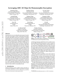 Leveraging ASIC AI Chips for Homomorphic Encryption