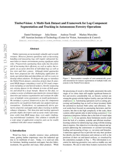 TimberVision: A Multi-Task Dataset and Framework for Log-Component Segmentation and Tracking in Autonomous Forestry Operations
