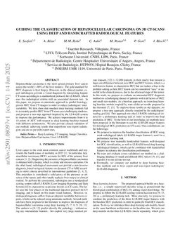 Guiding the classification of hepatocellular carcinoma on 3D CT-scans using deep and handcrafted radiological features
