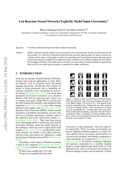 Can Bayesian Neural Networks Explicitly Model Input Uncertainty?