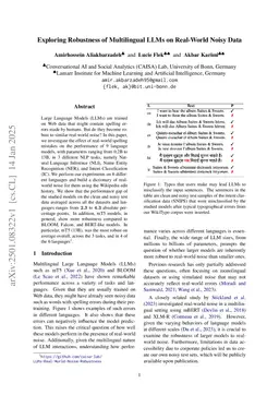 Exploring Robustness of Multilingual LLMs on Real-World Noisy Data